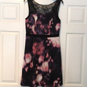 Lovely Adrianna Papell Pink Purple Black Dress 8